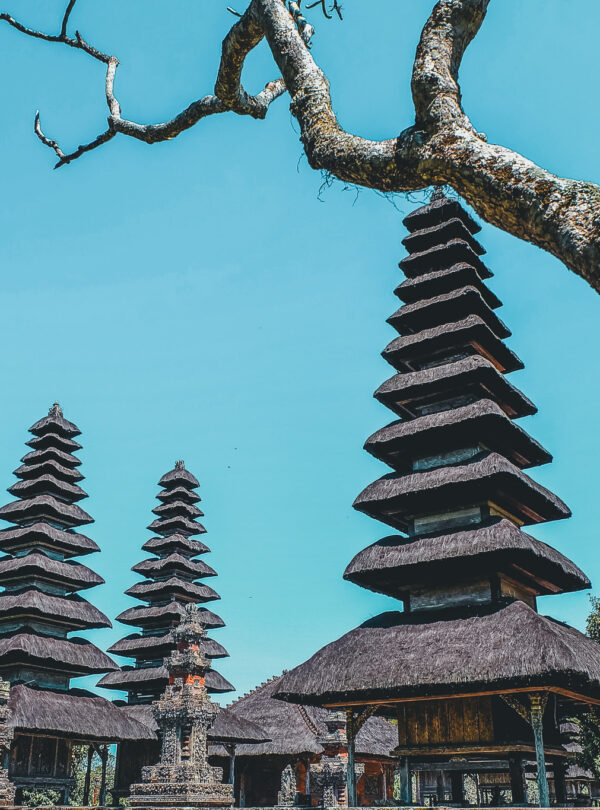 Affordable Bali half day tour package with Taman Ayun