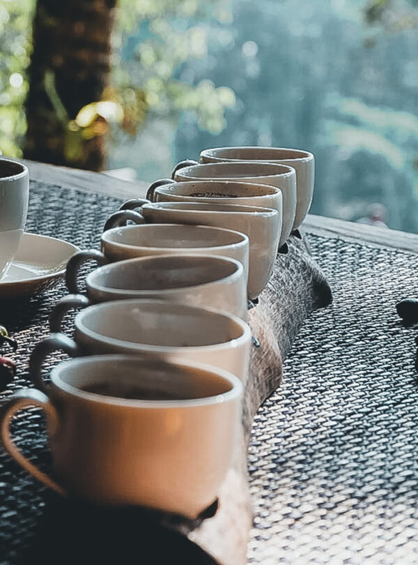 Bali coffee plantation tour with tasting