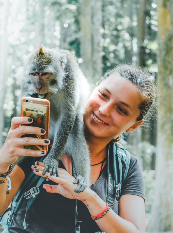 Best half day tour in Bali including Monkey Forest