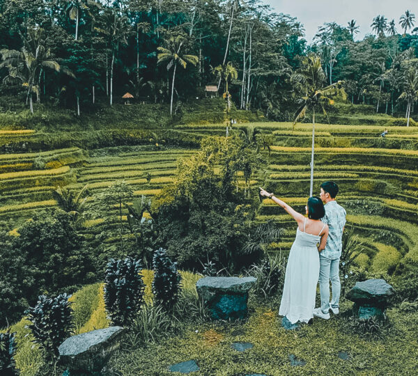 Tegalalang rice terrace romantic nature tour for family and couples in Bali