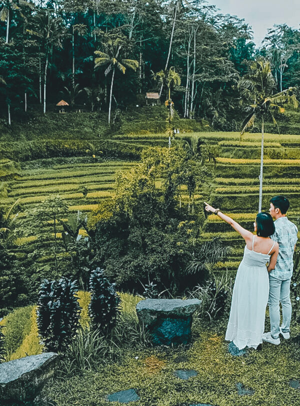 Tegalalang rice terrace romantic nature tour for family and couples in Bali