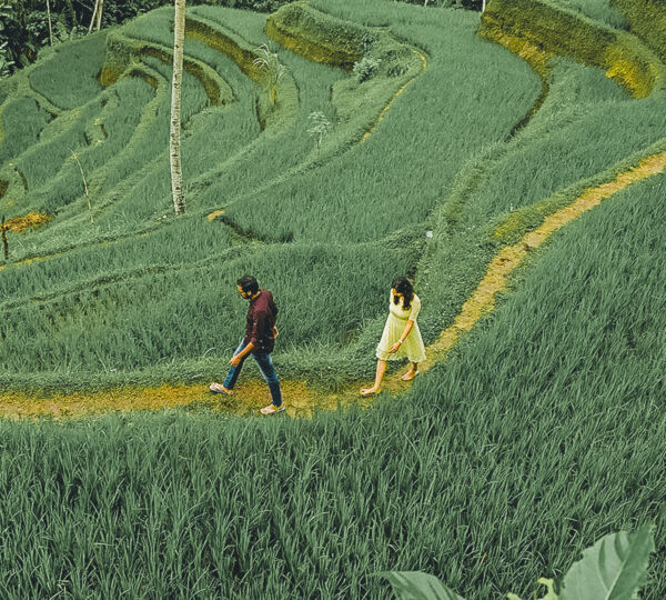 Tegalalang romantic nature tour Bali for couples honeymoon