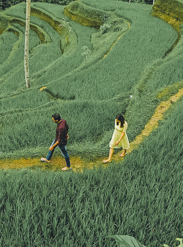 Tegalalang romantic nature tour Bali for couples honeymoon