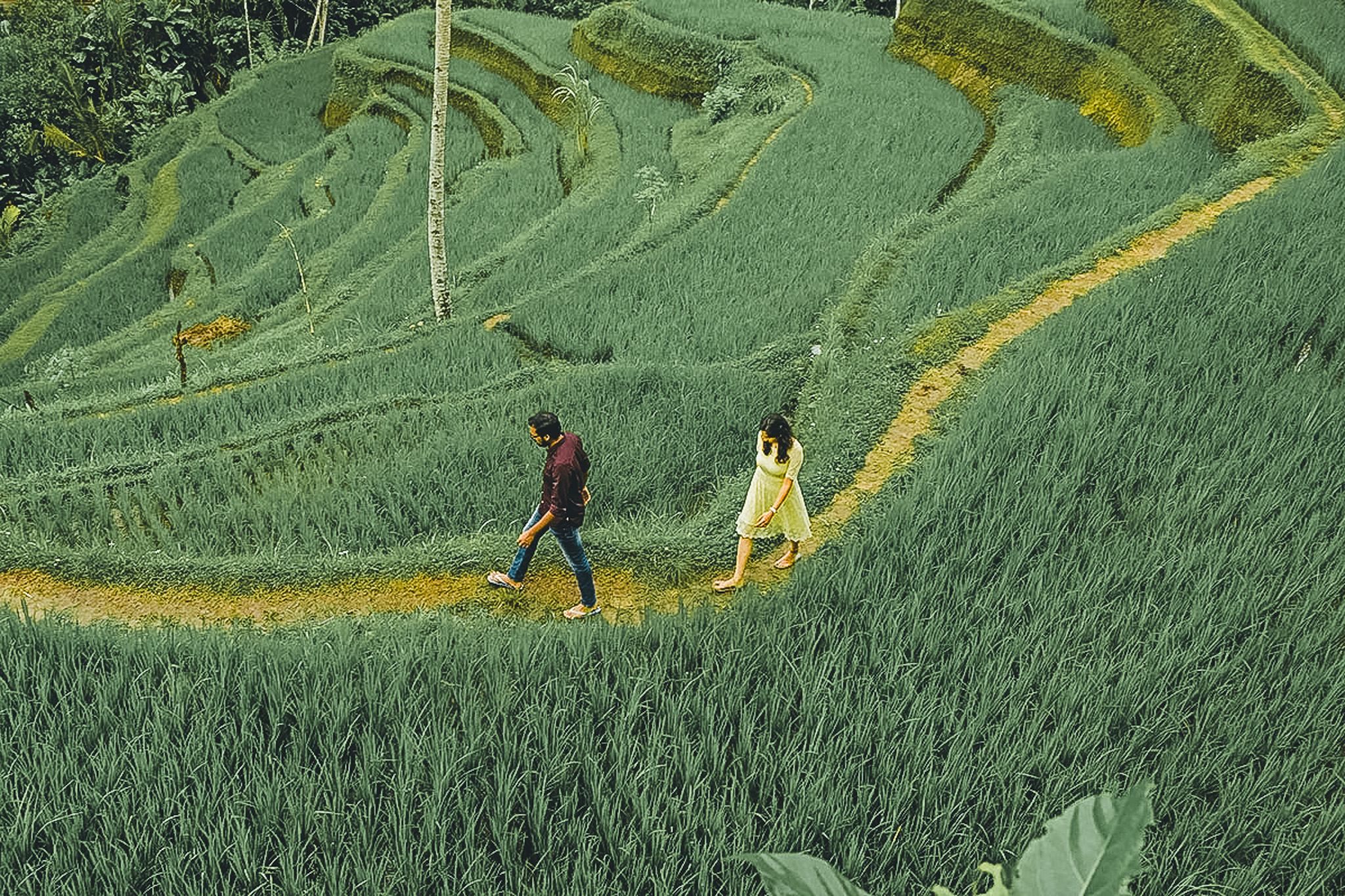 Tegalalang romantic nature tour Bali for couples honeymoon