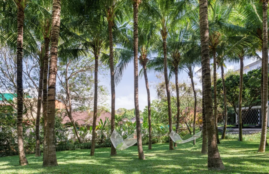 General image of a pet-friendly hotel accommodation in Bali welcoming travelers with dogs and other pets.
